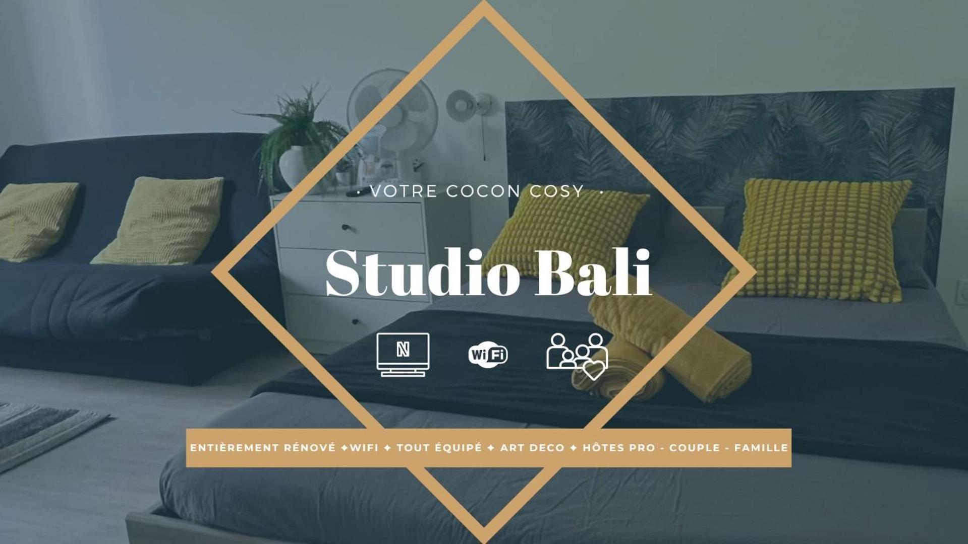 Studios Cozy Proche Gare Tgv Châtellerault Exterior photo